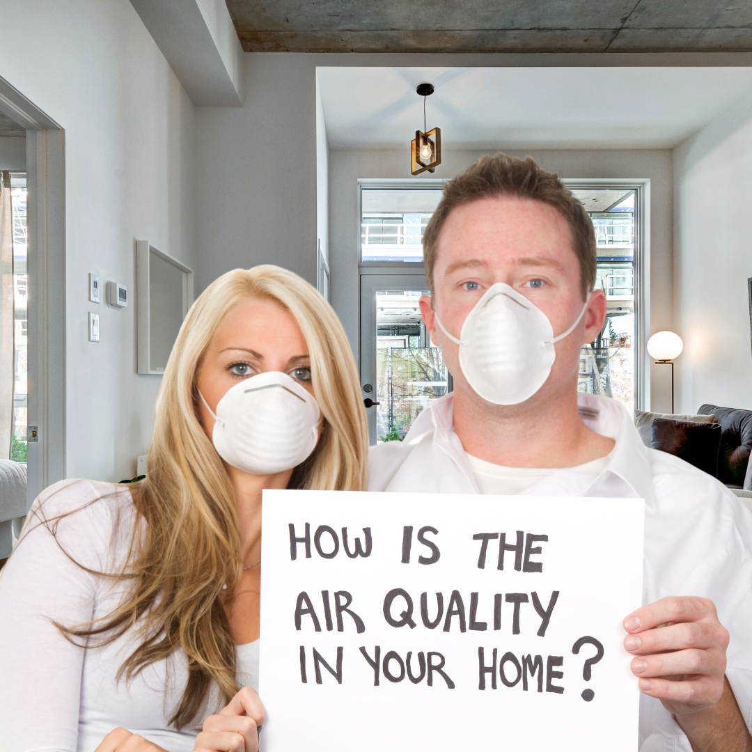 Read more about the article How To Improve The Air Quality This Winter